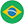 pt-br
